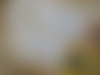 Międzynarodowy Dzień Pisania Listów / Midzënôrodny Dzéń Pisaniô Lëstów