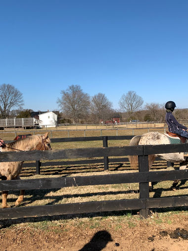 Tail Race Farms 