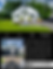 real estate marketing