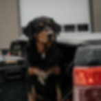 WhatsApp Image 2025-03-18 at 10.34.46 AM.jpeg