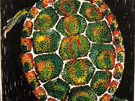 Teachings from a Turtle