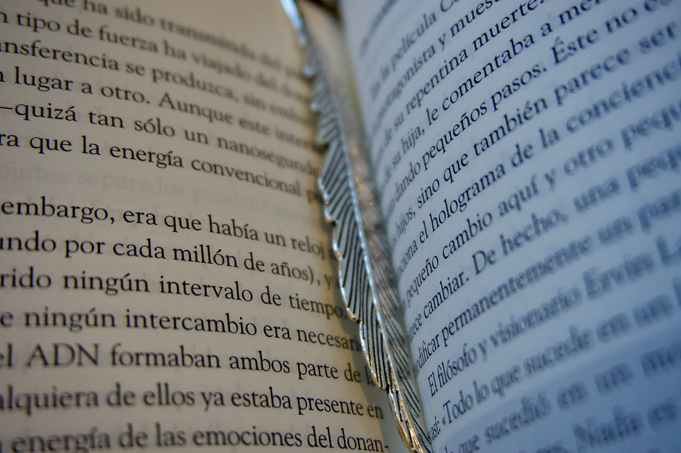 Miniatura: Cajitas Mágicas