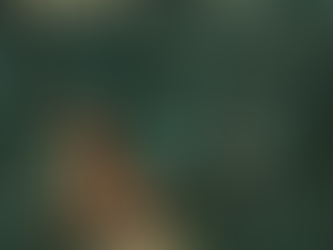 הדיפ-סטייט: מוות מידי הבירוקרטיה