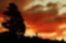 www.earthbridgenz.com