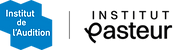 LOGO IdA - IP couleur.png