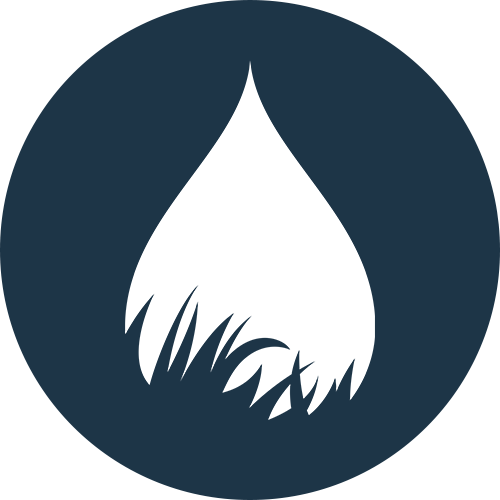 Thirsty Lawn Solutions