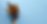 Untitled (980 x 703 px) (980 x 496 px) (980 x 496 px) (2).png