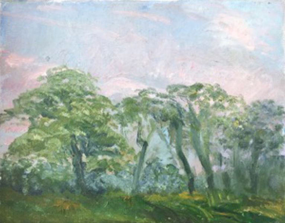 Trees on the banks of The River Allen