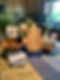 IMG_7235.jpeg