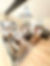 IMG_4294.jpeg