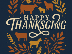 Gratitude in the Barn: Reflecting on the Livestock Season & Planning for 2026