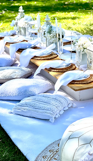 white picnic 1_edited.png