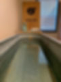 image14.jpeg