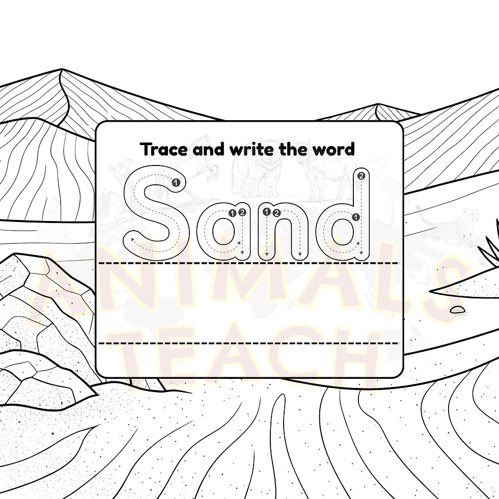 Thumbnail: Animals Teach Morocco Coloring Book