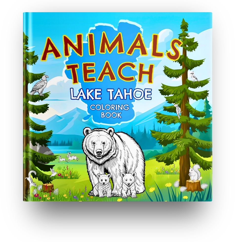Animals Teach A-Z Colorng Book