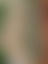 Magnesium and Hormones: Food-First Support for Sleep, Stress, and Blood Sugar.