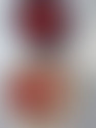 Stewed plum compote served over chia seed porridge and flaked almonds for balanced blood sugar support