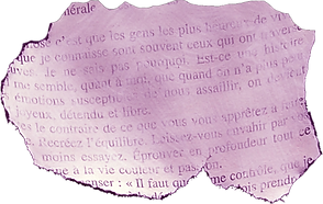 étiquette déchirée.png