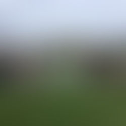 Brocton beaten in semi-final