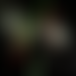 Risks consuming smoked foods