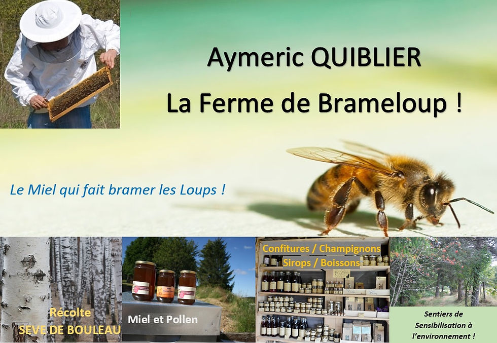 1er page.jpg