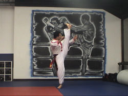 Martial Arts Kick