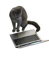 Photoroom_20250420_184424.png