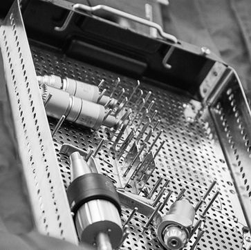 pferdefachtierarzt_pferdephysiotherapie_pferdepraxis_feben