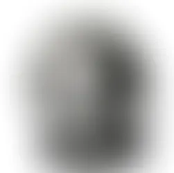 Maisha ya Dkt.Maria Montessori (1)