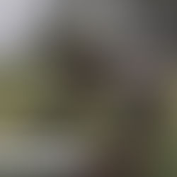 Onyo kwa madereva wanaoendesha magari ya wanafunzi