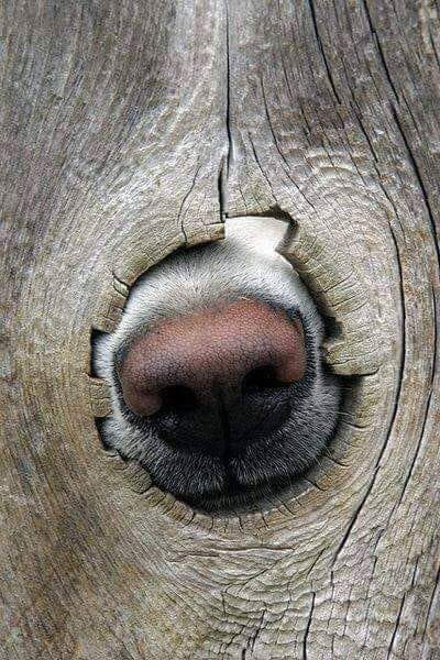 Use all your senses