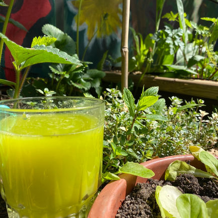 Mint Juice