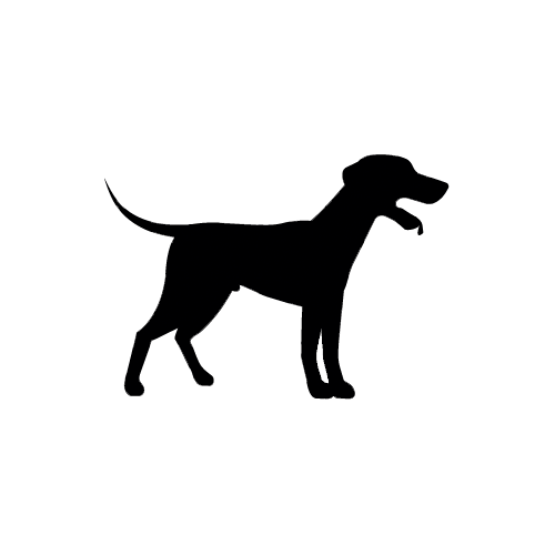 Pet Gun Dog Classes pet-gun-dog-classes