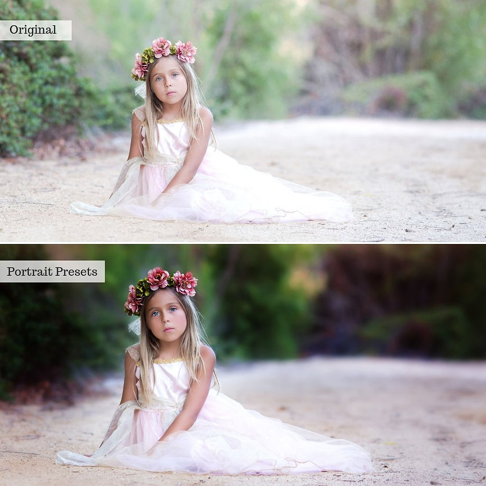 Thumbnail: Portraits Presets