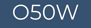 Untitled design (80).png