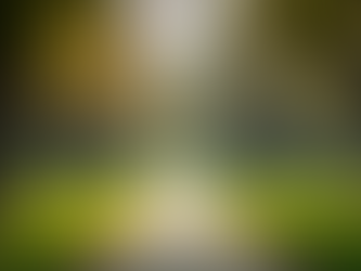 Enhancing Quality of Life for Seniors in Glendora