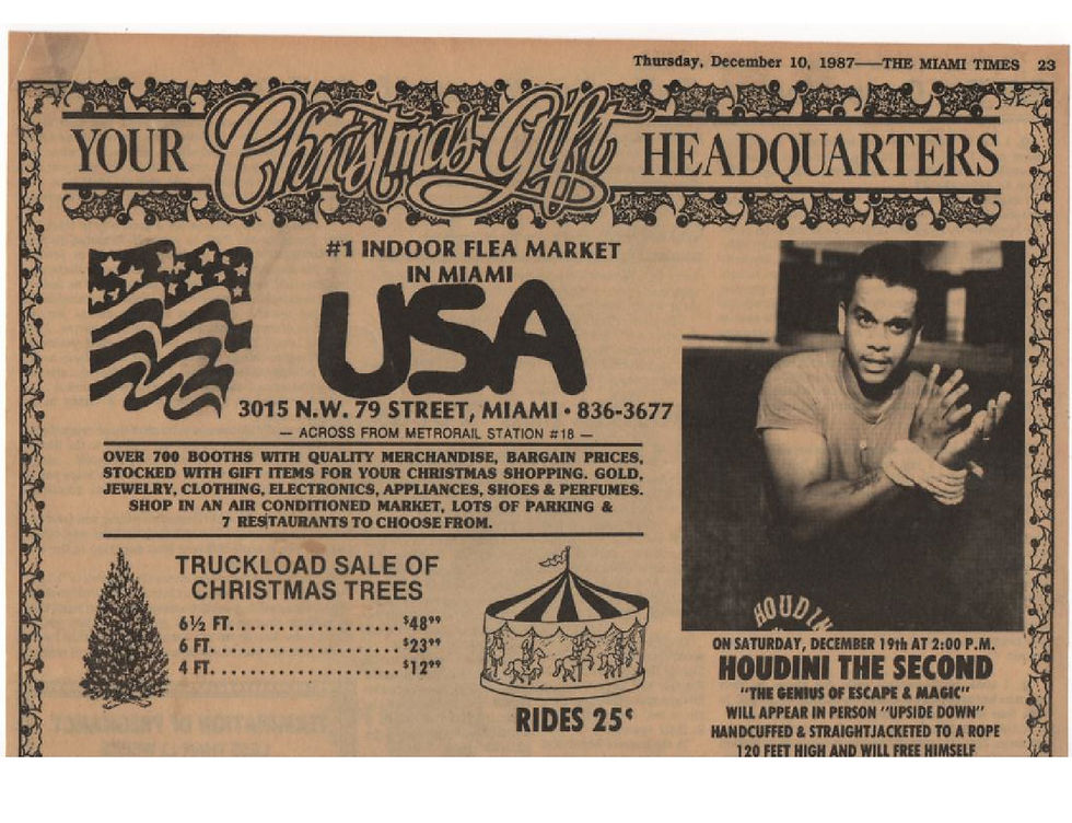 newspaper12