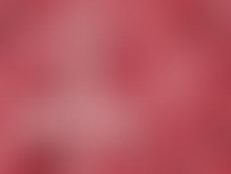 Stay Informed: Legal Updates from 3 - 7 February 2025