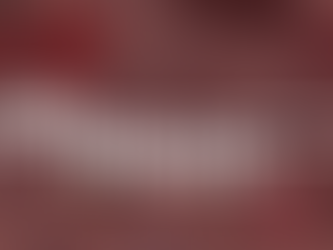 Legal Updates: 8-12 December 2025