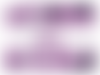 July 2025: Constitutional Court and Supreme Court of Appeal Judgments Summaries