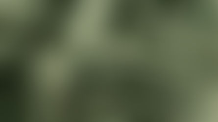 Velours : l’étoffe précieuse de la saison