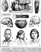 motifs anthropologiques Galon d'Ingres