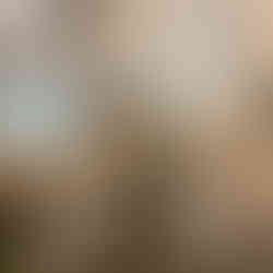 Piqueuse plate © Galon d'Ingres