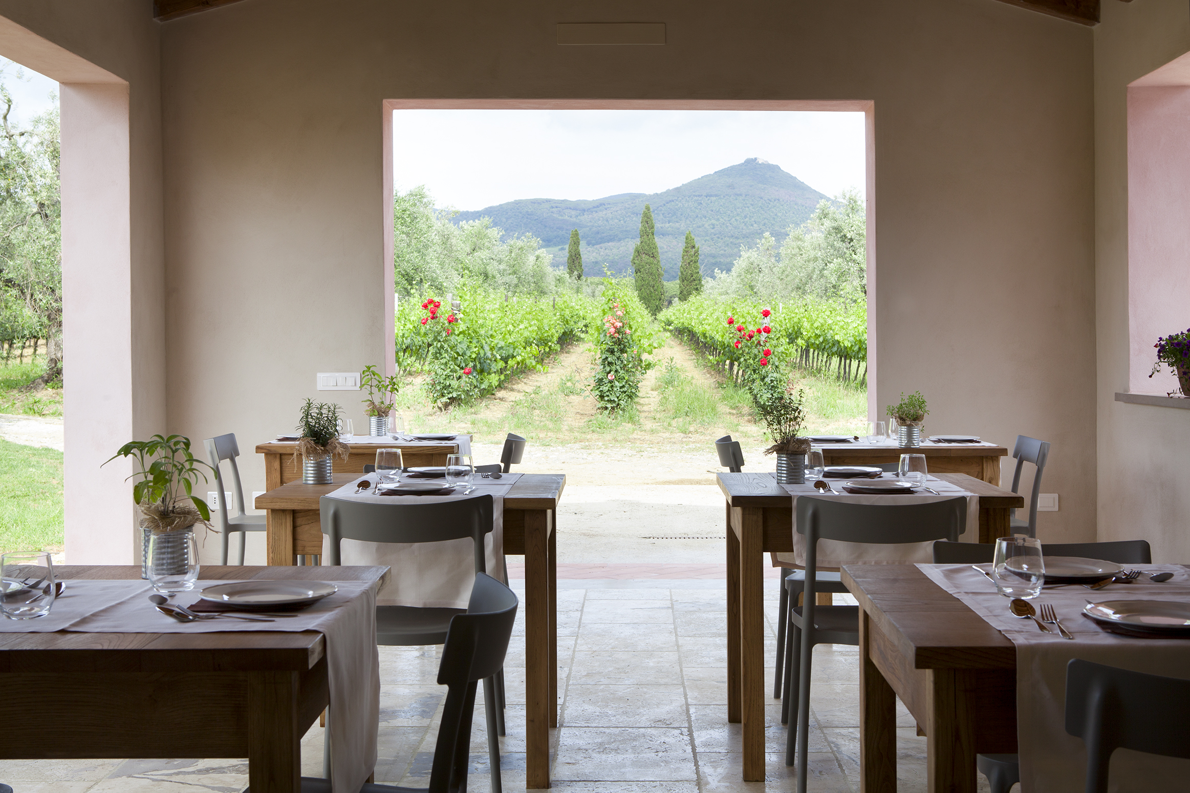 Toscana Castagneto Carducci Agriturismo Tra Gli Ulivi