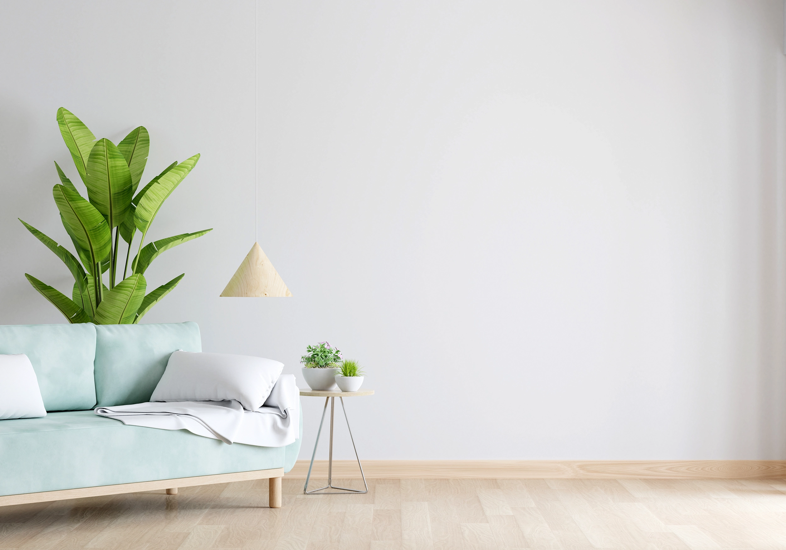 canape-vert-dans-salon-blanc-espace-libre copie.webp
