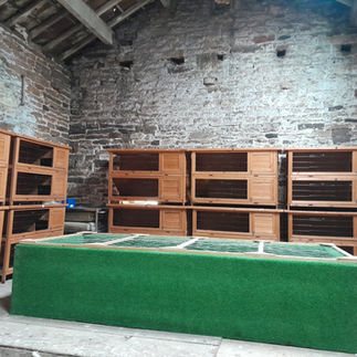 A luxury stay here at Helping Hands 