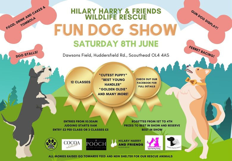 https://www.hilaryharryandfriendswildliferescue.co.uk/