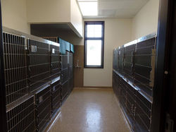 Prairiehaven Animal Hospital