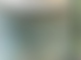 Mementos Left Behind: The Echoes of Olivet College Alumni