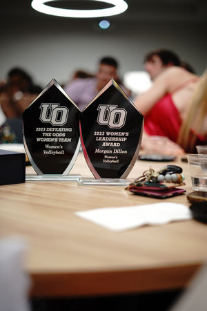 The 2024 Ollies Recap